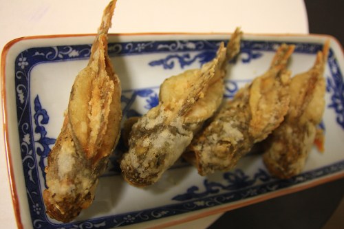 本日の釣果