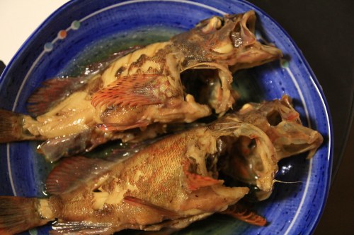 本日の釣果