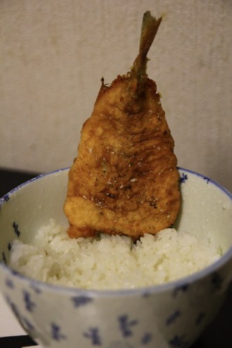 本日の釣果
