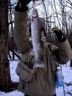 ２０１１ 初釣り