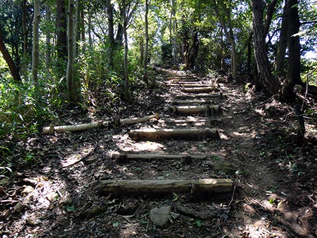 鈴蘭台鍋蓋山市が原新神戸