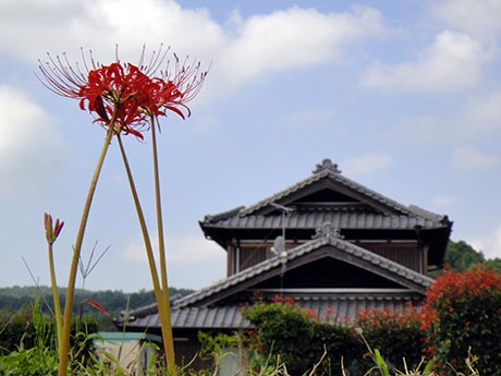 西鈴蘭台＞藍那＞丹生山＞衝原湖＞栄