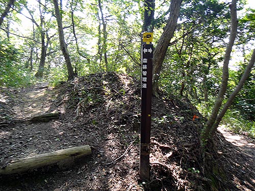 君影ロックガーデン＞烏原水源地＞湊川