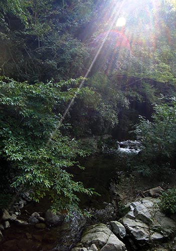 君影ロックガーデン＞烏原水源地＞湊川