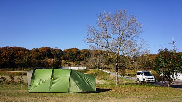 連結試し張り