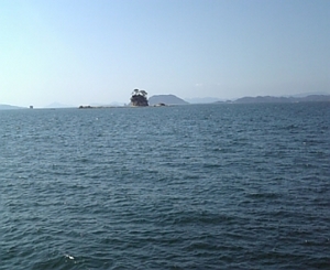 南九十九島釣行