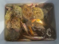 アジュール舞子にて 2010/08/31 09:47:31