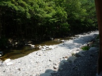 釣りとBBQ_永源寺グリーンランド 2010/06/13 09:55:15