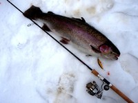 2010年 芦ノ湖特別解禁釣り大会