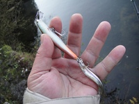 ルアーでワカサギ？