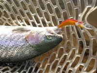 すそのＦＰ釣行 Part-2
