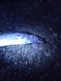 やっと夜勤終了 2011/10/10 11:02:46