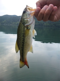 フロートボートで出陣 2011/08/15 11:32:55