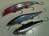 釣行記予告「真冬のミノーゲーム」 2012/02/07 20:41:43