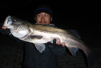 東京スズキ 2012/03/02 05:00:52