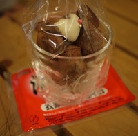 魅惑の地 2010/02/14 19:34:58