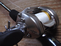 1月の反省・他 2009/02/08 10:45:43