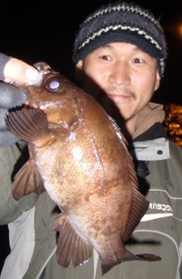 凄腕カサゴ撃沈！ 2012/03/15 22:14:42