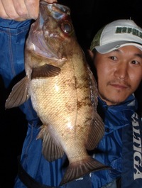 外道 2009/04/27 08:25:34