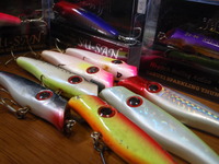 スーサン大量入荷 2008/08/27 08:44:55