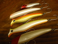 ランカーハンティング 2008/09/29 00:55:28