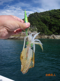 真夏の南紀で