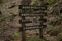 大台ヶ原ハイキング　その３