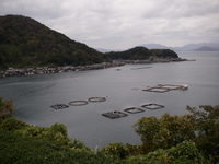 贅沢三昧