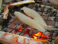 贅沢三昧