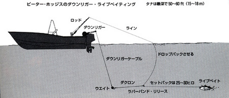 水曜日のマイボート釣り、湘南、三浦:ダウンリガーシステム