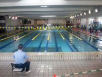 西日本新年水泳選手権大会 2013/01/26 14:50:22