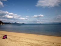 貝探し♪ 2013/04/21 15:36:39
