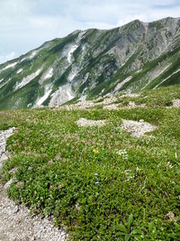 立山稜線ハイク　弐の巻