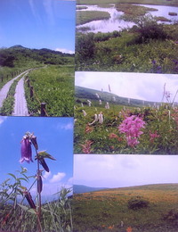 夏のヒトリ車山②