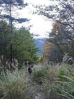 秋の茅ヶ岳②