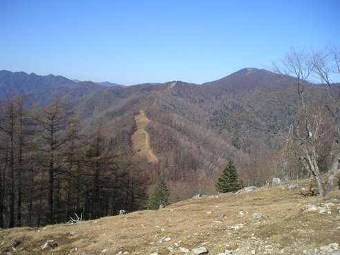 秋の鴨沢～七ツ石山
