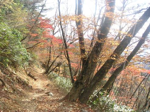 秋の鴨沢～七ツ石山