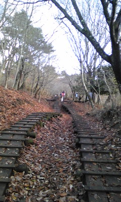 丹沢山～大倉から往復～