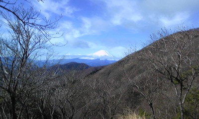 丹沢山～大倉から往復～