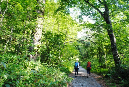 夏の北ア 初日 新穂高～双六