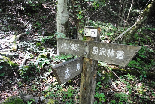 海沢探勝路～大岳山～サルギ尾根