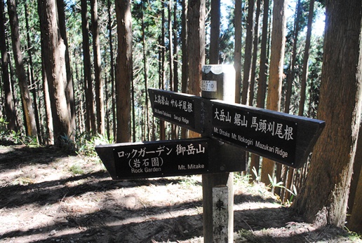 海沢探勝路～大岳山～サルギ尾根