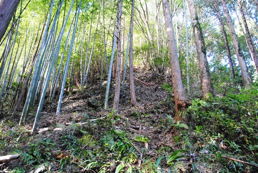 海沢探勝路～大岳山～サルギ尾根