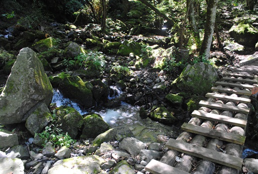 海沢探勝路～大岳山～サルギ尾根