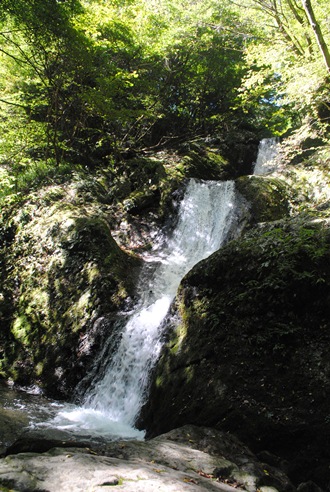 海沢探勝路～大岳山～サルギ尾根