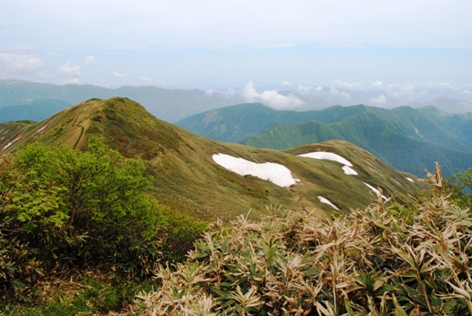 花満開の平標山・仙ノ倉山