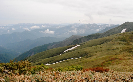 花満開の平標山・仙ノ倉山