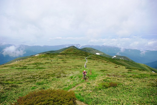 花満開の平標山・仙ノ倉山