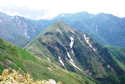 花満開の平標山・仙ノ倉山