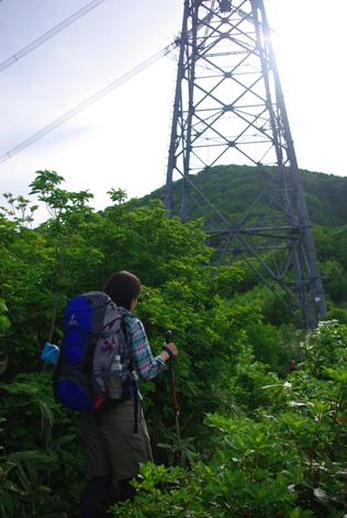 花満開の平標山・仙ノ倉山